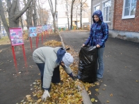 открыть картинку в новом окне