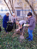 открыть картинку в новом окне