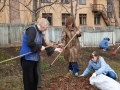 открыть картинку в новом окне