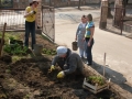 открыть картинку в новом окне