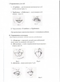 открыть картинку в новом окне