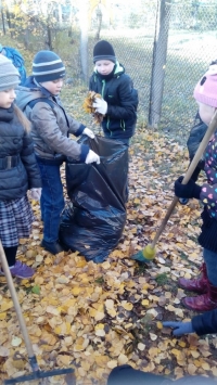 открыть картинку в новом окне