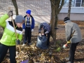 открыть картинку в новом окне