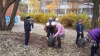 открыть картинку в новом окне