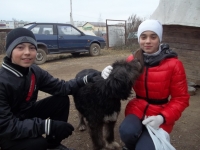 открыть картинку в новом окне