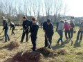 открыть картинку в новом окне