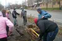 открыть картинку в новом окне