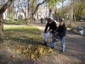 открыть картинку в новом окне